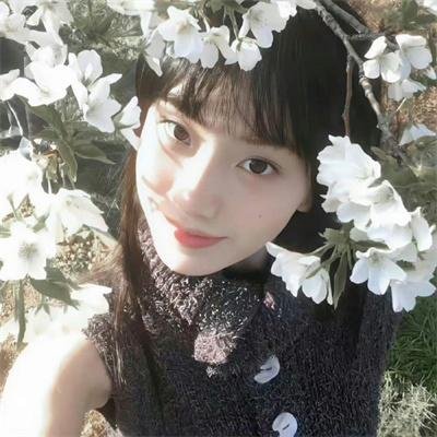 那年那兔那些事第五季