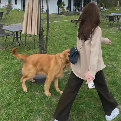 春宵苦短,少女前进吧!